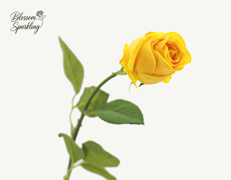 Real Touch Bulgarian Rose